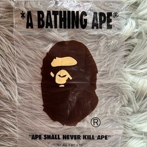 🤎BAPE PLASTIC BAG🤎